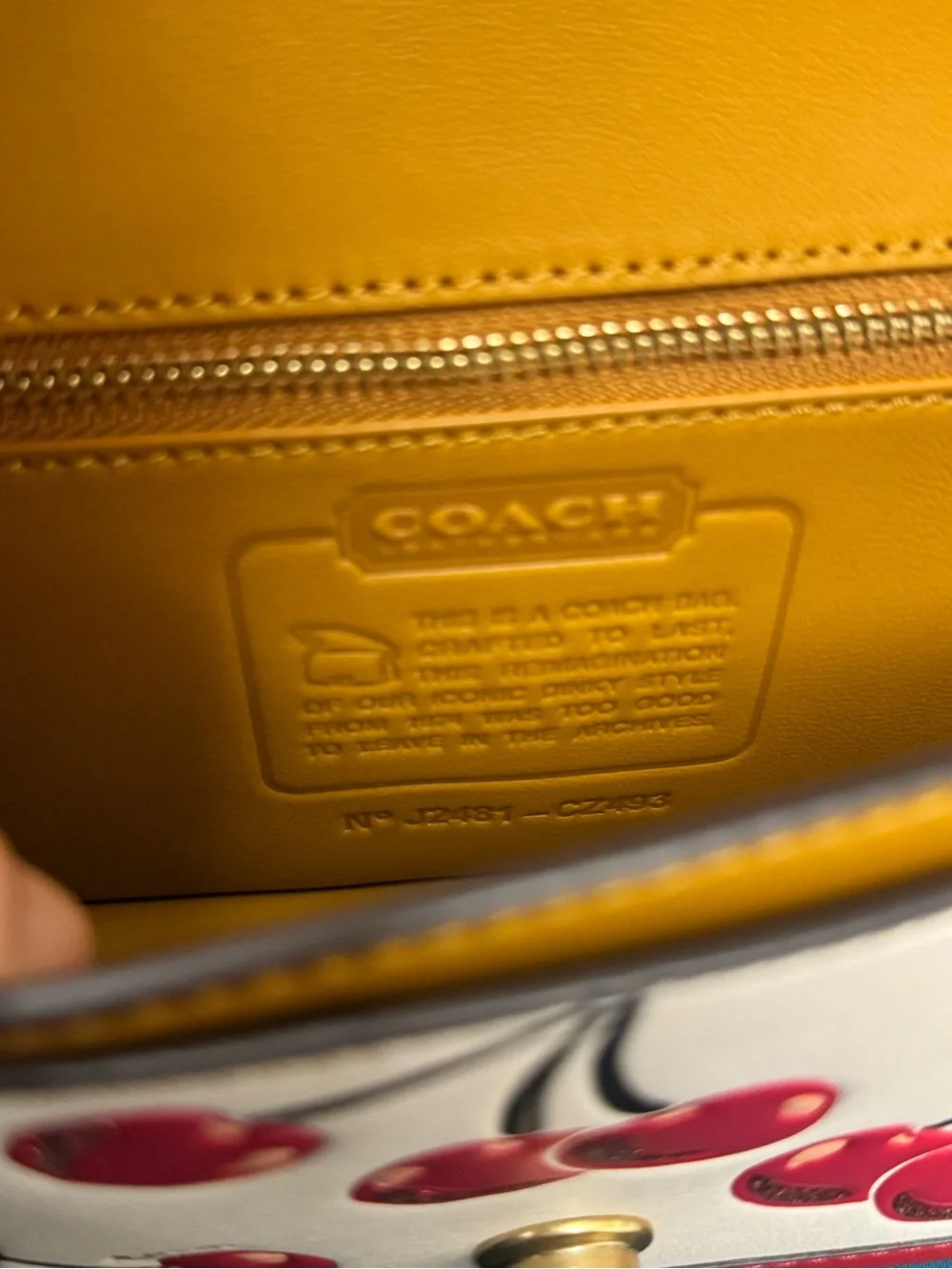 NWT - COACH - Cherry Print - Dinky Bag